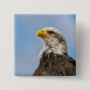 Bald Eagle Button