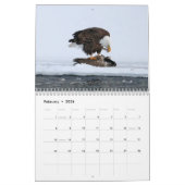 Bald Eagle Calendar Kalender (Feb 2026)