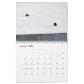 Bald Eagle Calendar Kalender (Jan 2026)