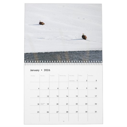 Bald Eagle Calendar Kalender (Jan 2026)
