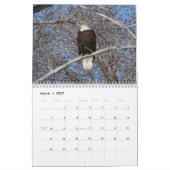 Bald Eagle Calendar Kalender (Mär 2027)