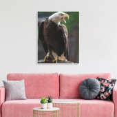 Bald Eagle Calling Leinwanddruck (Insitu (Wohnzimmer))
