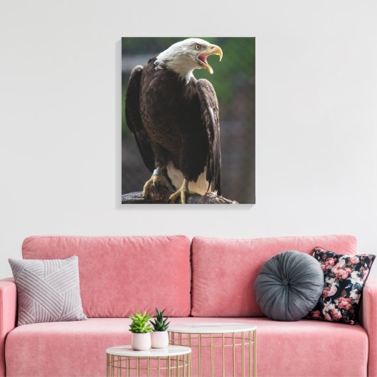Bald Eagle Calling Leinwanddruck (Insitu (Wohnzimmer))