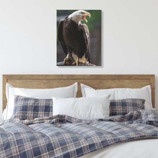 Bald Eagle Calling Leinwanddruck (Insitu (Schlafzimmer))