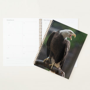 Bald Eagle Calling Planer
