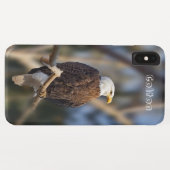 Bald Eagle Case-Mate iPhone Hülle (Rückseite (Horizontal))