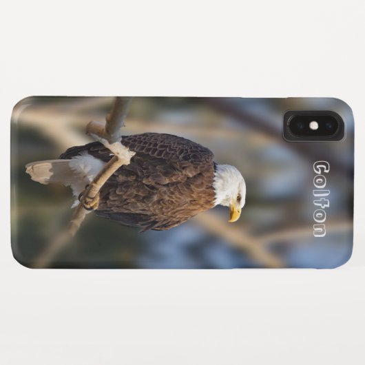 Bald Eagle Case-Mate iPhone Hülle (Rückseite (Horizontal))