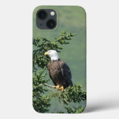 Bald Eagle Case-Mate iPhone Hülle (Rückseite)