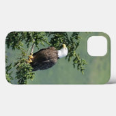 Bald Eagle Case-Mate iPhone Hülle (Rückseite (Horizontal))
