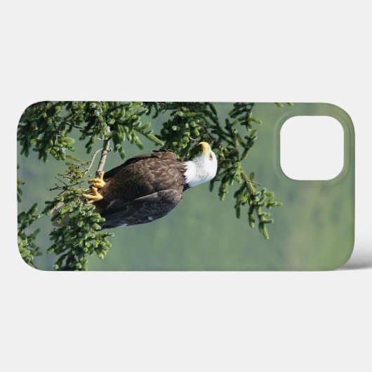 Bald Eagle Case-Mate iPhone Hülle (Rückseite (Horizontal))