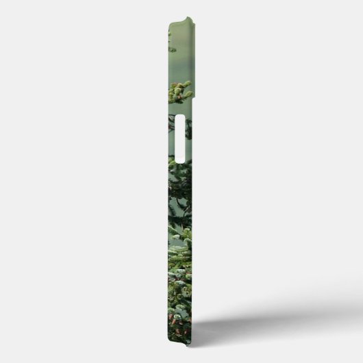 Bald Eagle Case-Mate iPhone Hülle (Rückseite / Rechts)