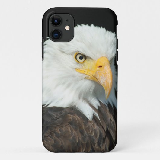 Bald Eagle Case-Mate iPhone Hülle (Rückseite)