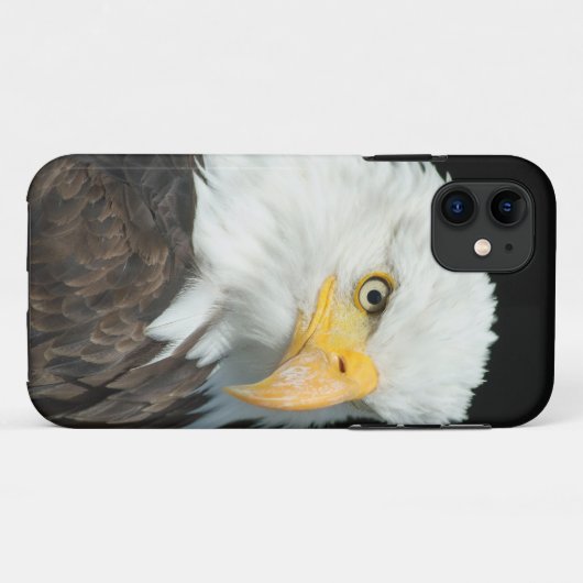Bald Eagle Case-Mate iPhone Hülle (Rückseite (Horizontal))