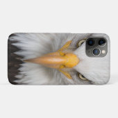 Bald Eagle Case-Mate iPhone Hülle (Rückseite (Horizontal))