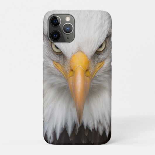 Bald Eagle Case-Mate iPhone Hülle (Rückseite)