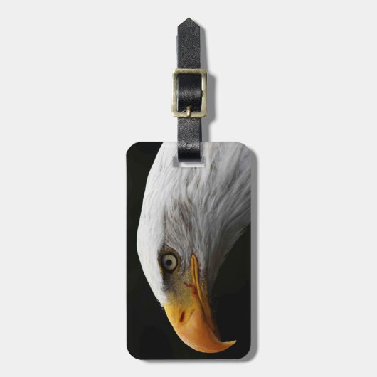 Bald Eagle cd ltcna Gepäckanhänger (Vorderseite vertikal)