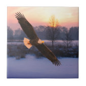 BALD EAGLE CERAMIC TILE FLIESE (Vorderseite)