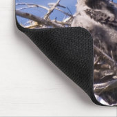 Bald Eagle Chick - Maus Pad Mousepad (Ecke)