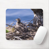 Bald Eagle Chick - Maus Pad Mousepad (Mit Mouse)