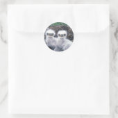 Bald Eagle Chicks Runder Aufkleber (Tasche)