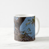 Bald Eagle Chicks - Tasse (VorderseiteRechts)