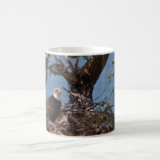 Bald Eagle Chicks - Tasse (Mittel)