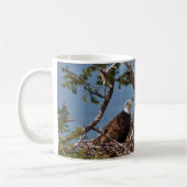Bald Eagle Chicks - Tasse (Links)