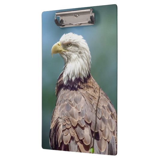 Bald Eagle Clipboard Klemmbrett (Links)