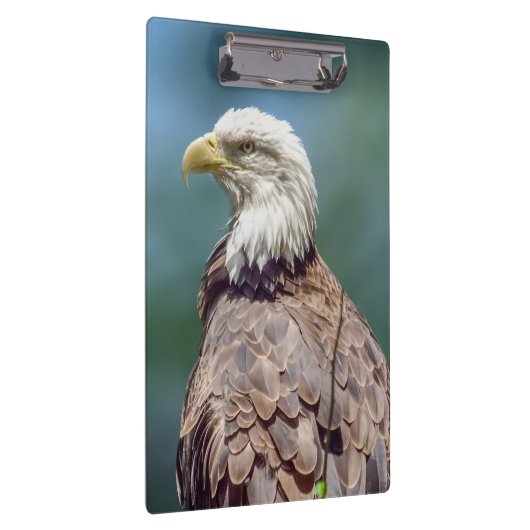 Bald Eagle Clipboard Klemmbrett (Rechts)