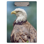 Bald Eagle Clipboard Klemmbrett (Vorderseite)
