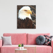 Bald Eagle Closeup Leinwanddruck (Insitu (Wohnzimmer))