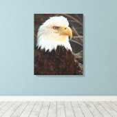 Bald Eagle Closeup Leinwanddruck (Insitu (Holzboden))