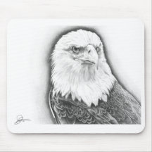 Bald Eagle Closeup - Original Artwork