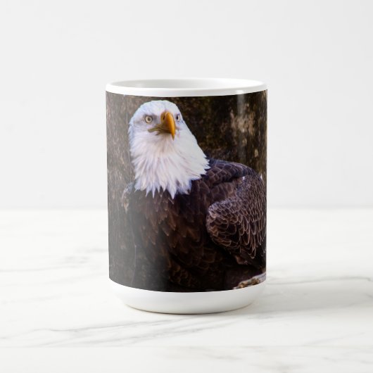 Bald Eagle Coffee Tasse (Mittel)