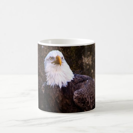 Bald Eagle Coffee Tasse (Mittel)