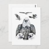 Bald Eagle Collage Stift zeichnend Zeichnung Postkarte (Vorne/Hinten)