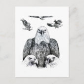 Bald Eagle Collage Stift zeichnend Zeichnung Postkarte (Vorderseite)