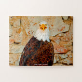 Bald Eagle Colorado Puzzle (Horizontal)
