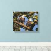 Bald Eagle Couple Leinwanddruck (Insitu (Holzboden))