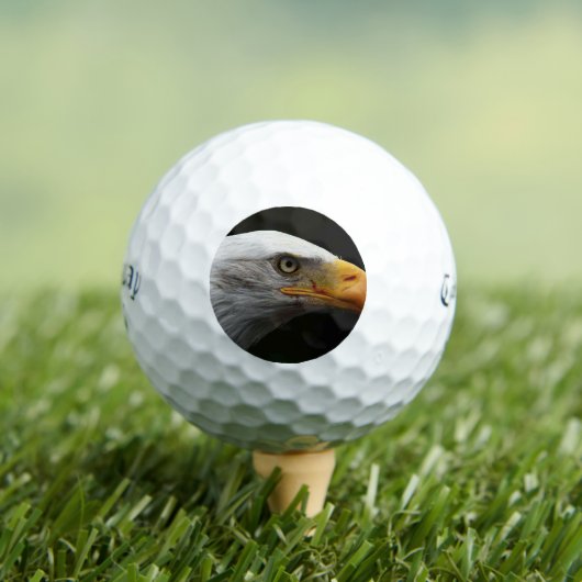 Bald Eagle css gbcna Golfball (Insitu T-Shirt)