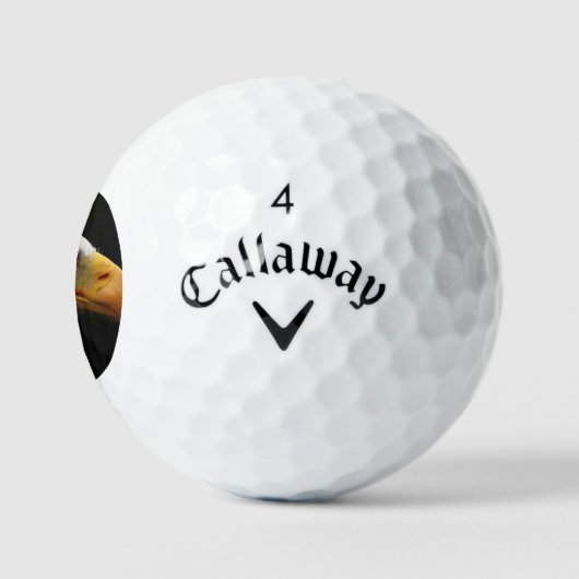 Bald Eagle css gbcnm Golfball (Logo)