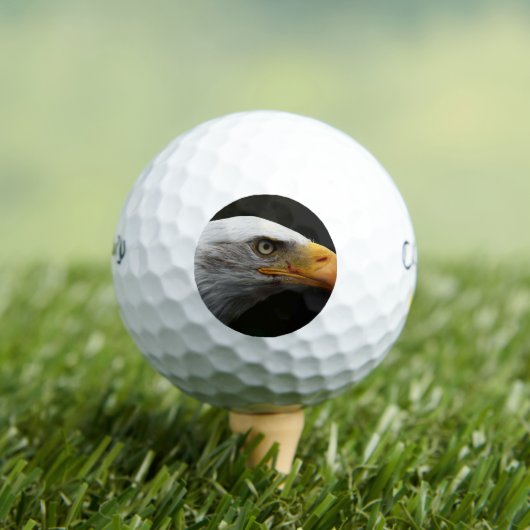 Bald Eagle cwb gbcna Golfball (Insitu T-Shirt)