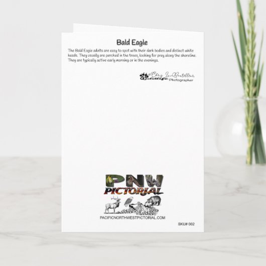 Bald Eagle Danke-Card Dankeskarte (Rückseite)