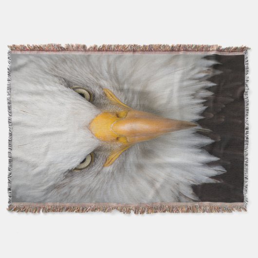 Bald Eagle Decke (Vorderseite)