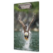 Bald Eagle Der große Fang Klemmbrett (Links)