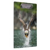 Bald Eagle Der große Fang Klemmbrett (Rechts)