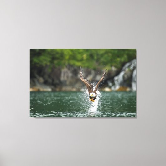 Bald Eagle Der große Fang Leinwanddruck (Vorderseite)