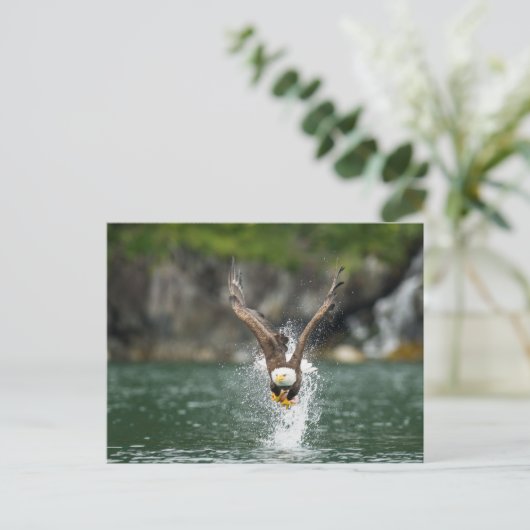 Bald Eagle Der große Fang Postkarte (Stehend Vorderseite)