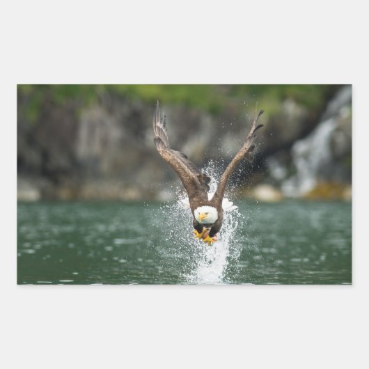 Bald Eagle Der große Fang Rechteckiger Aufkleber (Vorderseite)