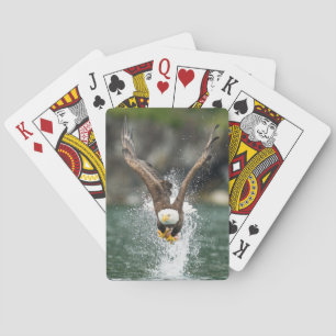 Bald Eagle Der große Fang Spielkarten